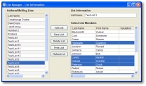 List Manager Lists Form